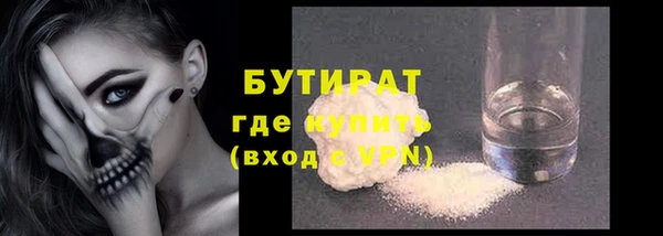 шишки Тайга